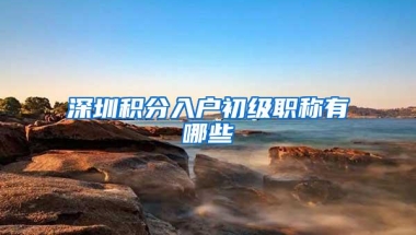 深圳积分入户初级职称有哪些