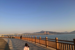 你应该掌握的深圳企业怎么申办集体户口解决方法！