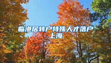 临港居转户特殊人才落户上海