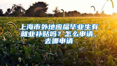 上海市外地应届毕业生有就业补贴吗？怎么申请，去哪申请