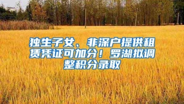 独生子女、非深户提供租赁凭证可加分！罗湖拟调整积分录取