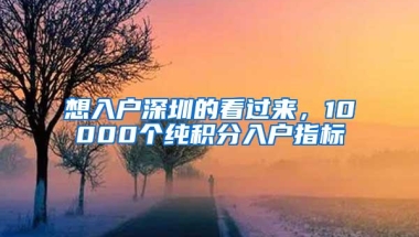想入户深圳的看过来，10000个纯积分入户指标