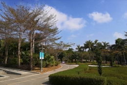 3个从专业人士那里获得深圳留学生入户社保认证的建议