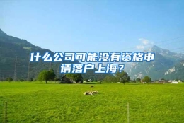 什么公司可能没有资格申请落户上海？