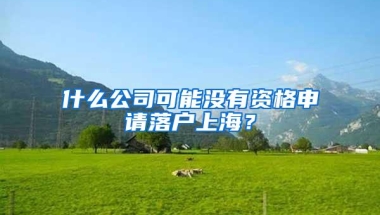 什么公司可能没有资格申请落户上海？