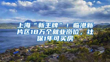 上海“新王牌”！临港新片区18万个就业岗位，社保1年可买房