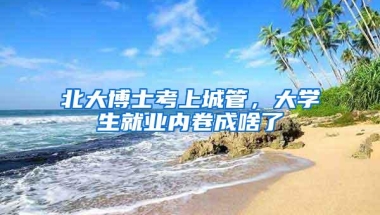 北大博士考上城管，大学生就业内卷成啥了