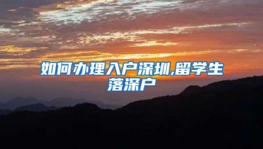 如何办理入户深圳,留学生落深户