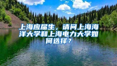 上海应届生，请问上海海洋大学和上海电力大学如何选择？