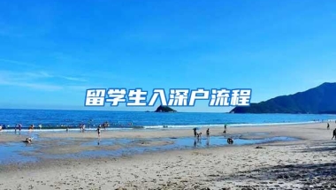 留学生入深户流程