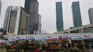 办理不到2021年深圳集体户口样本你应该感到难过，如果有人轻易得到了！