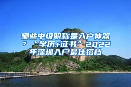 哪些中级职称是入户神器？“学历+证书”2022年深圳入户最佳搭档