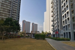 深圳集体户口新生儿落户，3个步骤告诉你如何解决问题