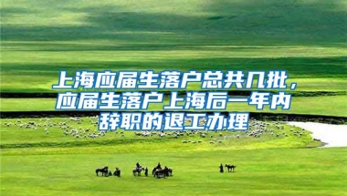 上海应届生落户总共几批，应届生落户上海后一年内辞职的退工办理