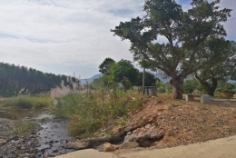 怎么使你轻松应对2021年深圳户口调干？