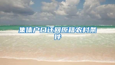 集体户口迁回原籍农村条件