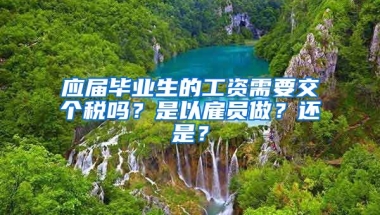 应届毕业生的工资需要交个税吗？是以雇员做？还是？