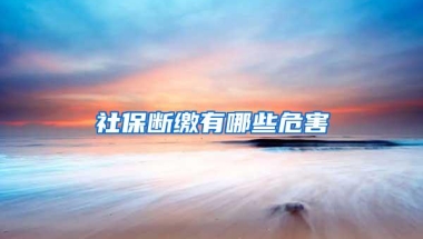 社保断缴有哪些危害