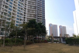 2022深圳调干入户流程的这些方法你都知道吗？