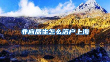非应届生怎么落户上海