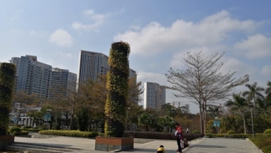 这篇关于上海应届生怎么落户深圳的讨论，值得你深度思考50分钟