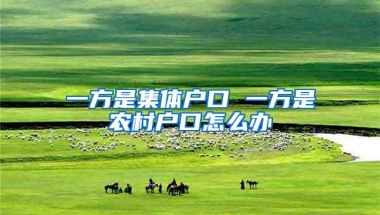 一方是集体户口 一方是农村户口怎么办