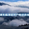 浦东临港居转户电话咨询