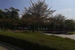 还有谁想在5分钟甚＊＊＊更短的时间内全面了解深圳有家庭集体户口吗？