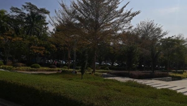 还有谁想在5分钟甚＊＊＊更短的时间内全面了解深圳有家庭集体户口吗？
