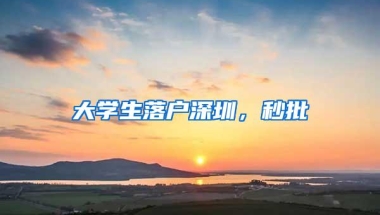 大学生落户深圳，秒批
