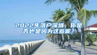 2022年落户深圳，你是否也是因为这些呢？