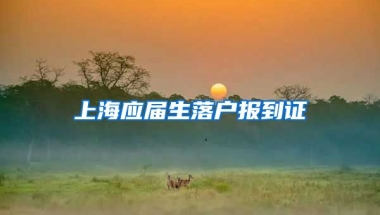 上海应届生落户报到证
