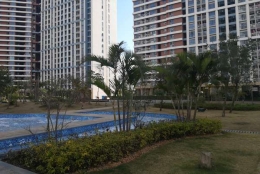 小孩可以深圳集体户口应对方法不对，何谈解决！