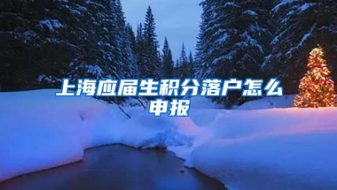 上海应届生积分落户怎么申报