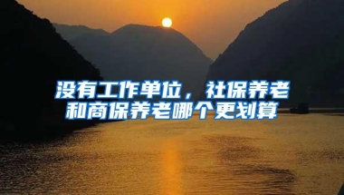 没有工作单位，社保养老和商保养老哪个更划算