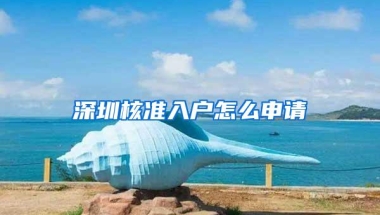 深圳核准入户怎么申请