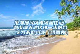 港澳居民可申领居住证！粤港澳大湾区进一步融合 实力不可小觑（附图表）