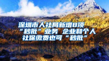 深圳市人社局新增8项“秒批”业务 企业和个人社保缴费也可“秒批”