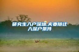研究生入户深圳,夫妻随迁入深户条件
