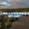 上海市人才引进具体要求是什么呢？