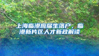 上海临港应届生落户，临港新片区人才新政解读