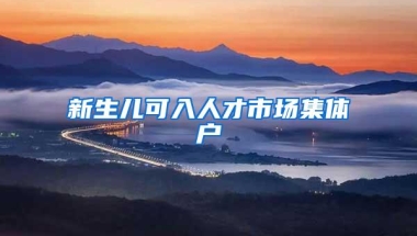 新生儿可入人才市场集体户