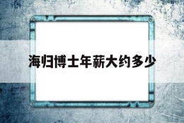 海归博士年薪大约多少(海归博士国内年薪300万)