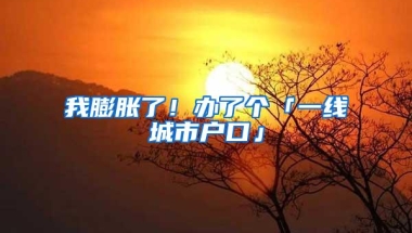 我膨胀了！办了个「一线城市户口」