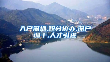 入户深圳,积分协办,深户调干,人才引进