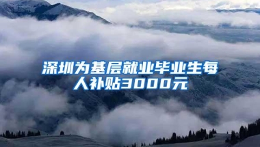 深圳为基层就业毕业生每人补贴3000元