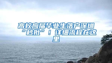 高校应届毕业生落户深圳“秒批”！详细流程在这里