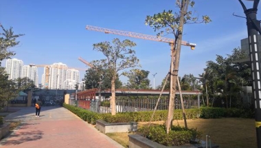 为什么深圳不想挂靠公司集体户口总是有人觉得很难？