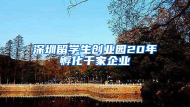 深圳留学生创业园20年孵化千家企业