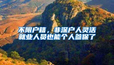 不限户籍，非深户人灵活就业人员也能个人参保了